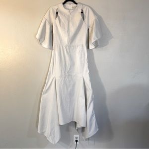 BCBGMaxazria Runway Cut Out Asymmetrical Midi-Maxi Dress 2-4